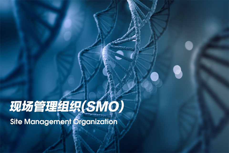 现场管理组织（Site Management Organization，，，，SMO）